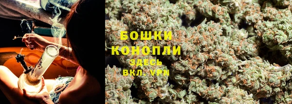 apvp Володарск